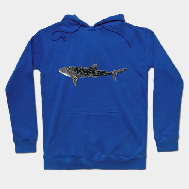 Whale shark Hoodie by chloeyzoard